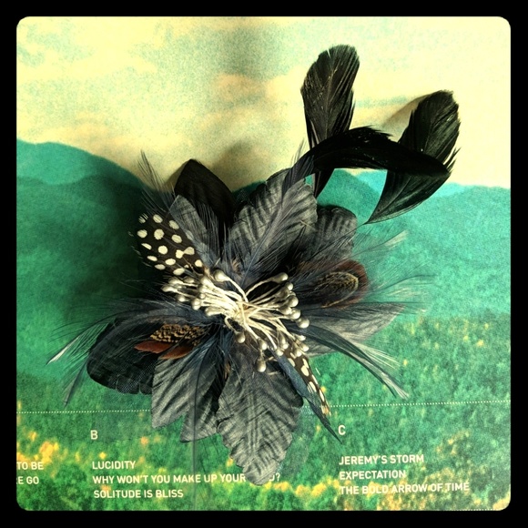 Art Deco Feather Hair Clip/Brooch - Picture 1 of 5